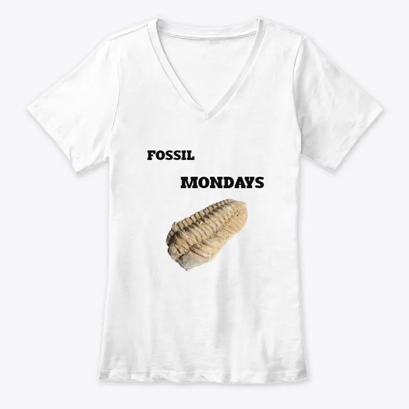 FOSSIL MONDAYS 