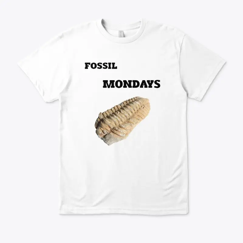 FOSSIL MONDAYS 