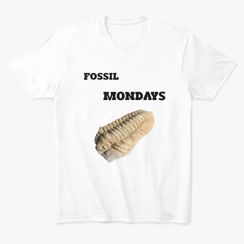 FOSSIL MONDAYS 