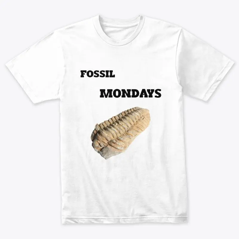 FOSSIL MONDAYS 